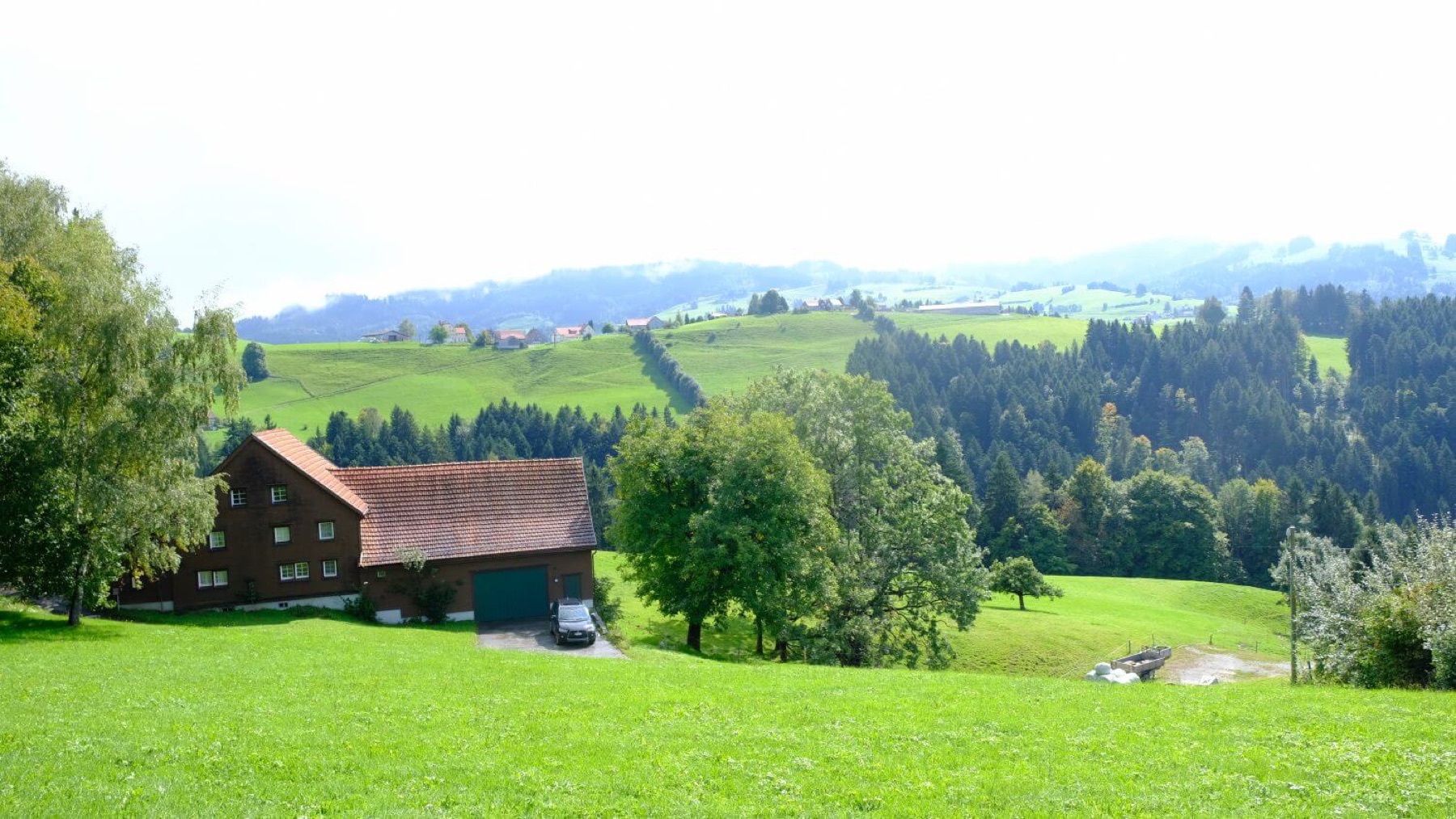 Hochstamm_Suisse_Appenzell